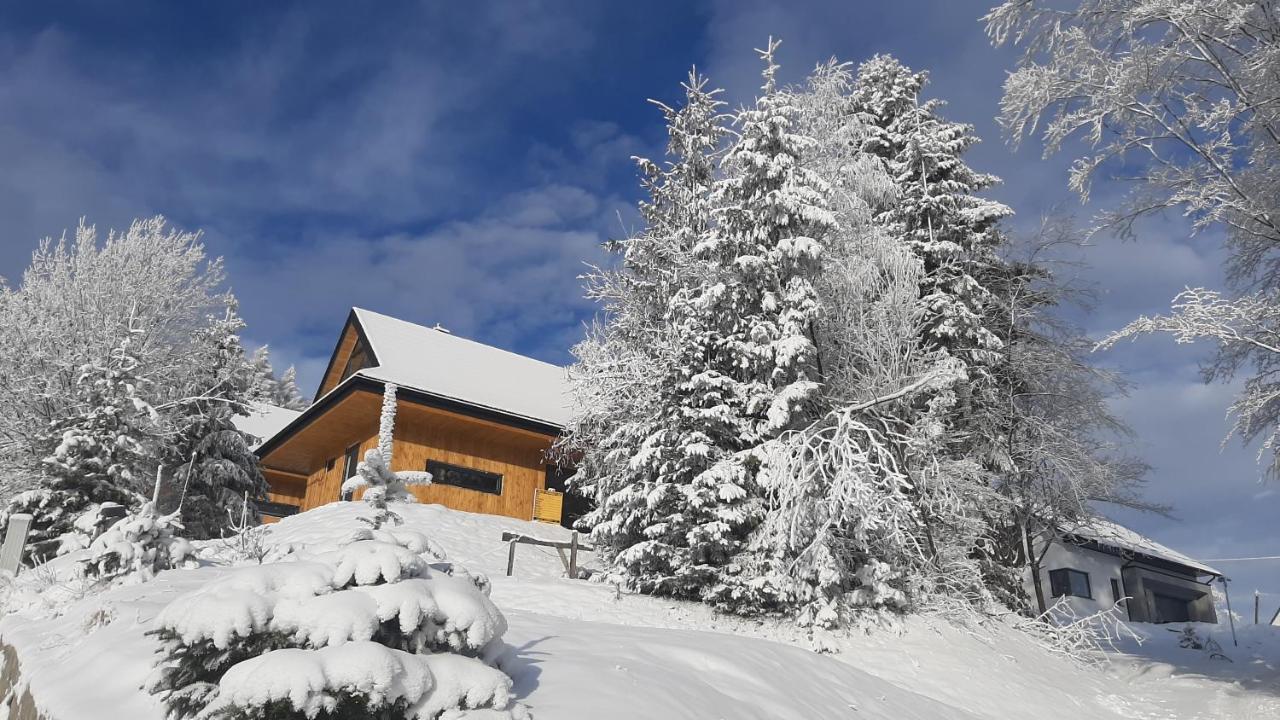 Domki Krynica Villa Kültér fotó