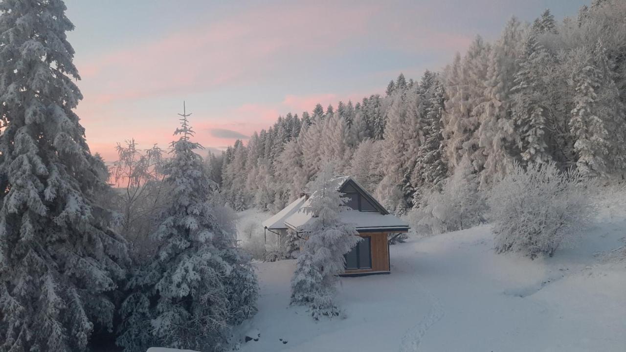 Domki Krynica Villa Kültér fotó