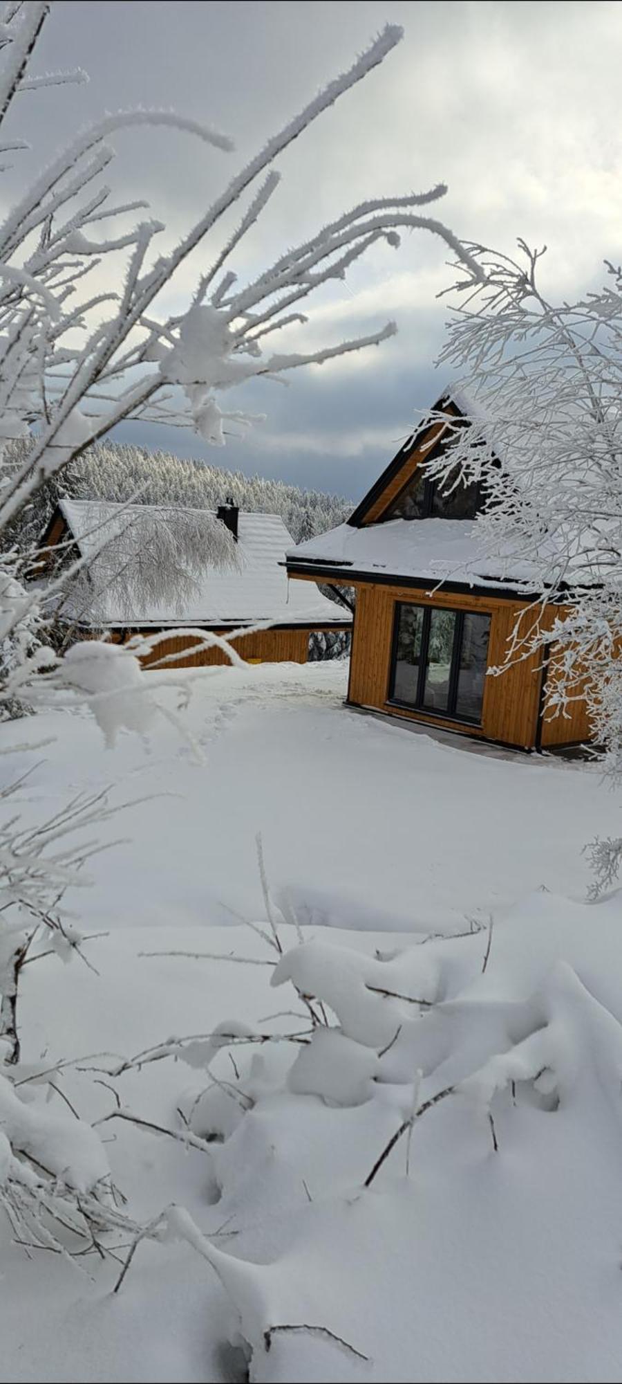 Domki Krynica Villa Kültér fotó